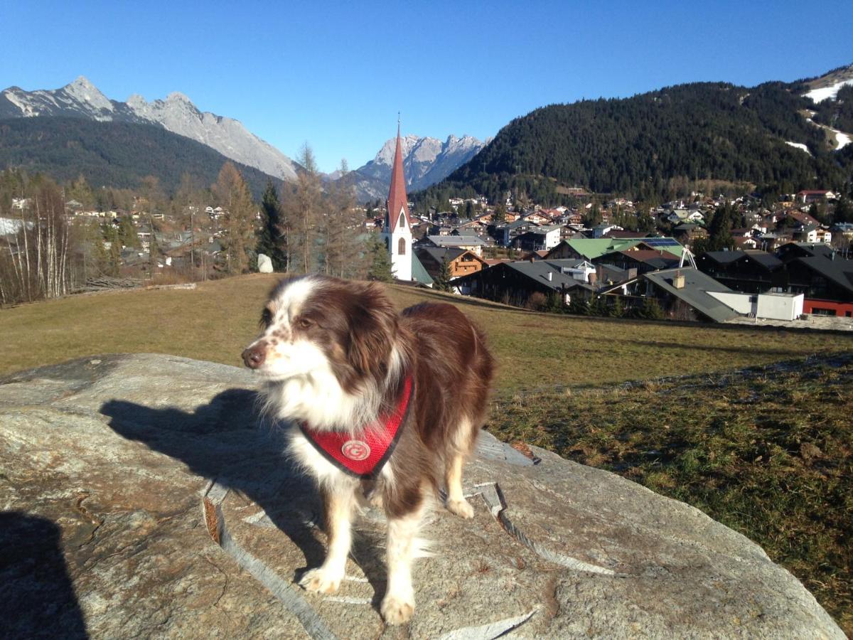 Fewo Lebensfreude Mittenwald Kültér fotó