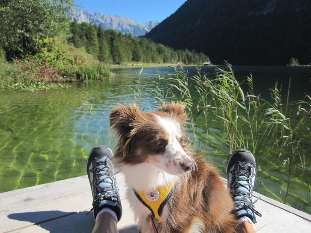 Fewo Lebensfreude Mittenwald Szoba fotó